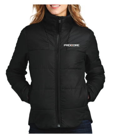 Women's North Face Everyday Insulated Jacket